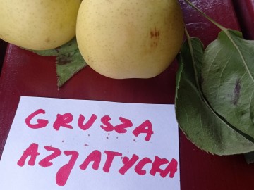 Szkolenie sadownicze w Plichtowie 22.09.2021r. fot. KR.Sosnowska, 